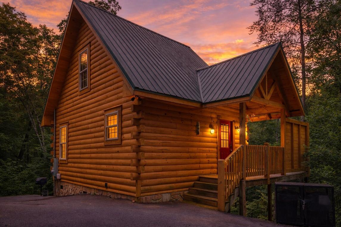 Black Bears And Fireflies 