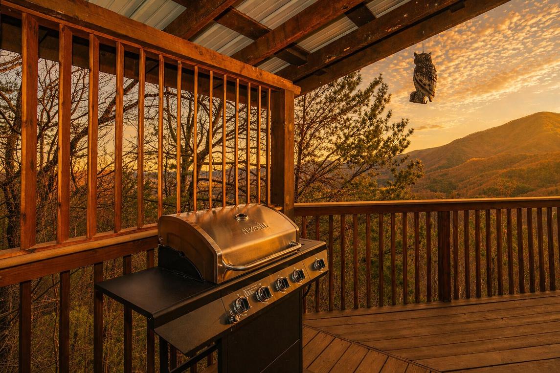 Cabin of Many Colors 
