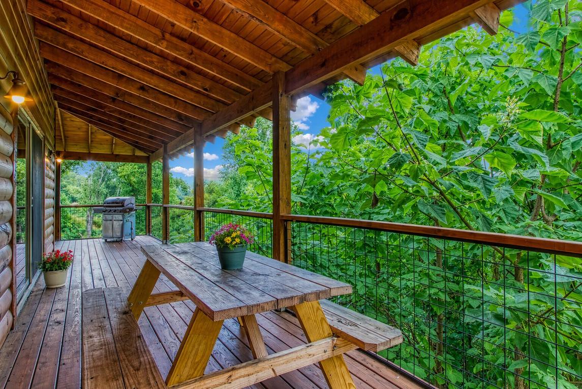 Appalachian Lookout 