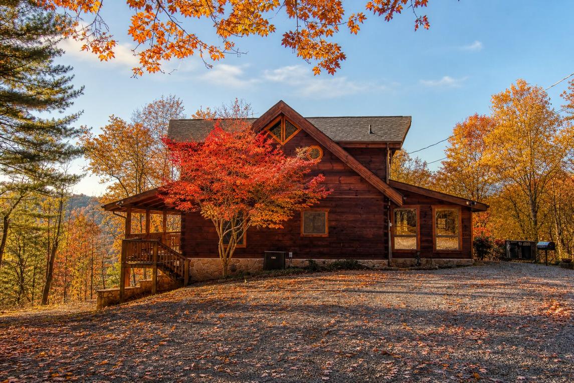 Livin' Lodge 