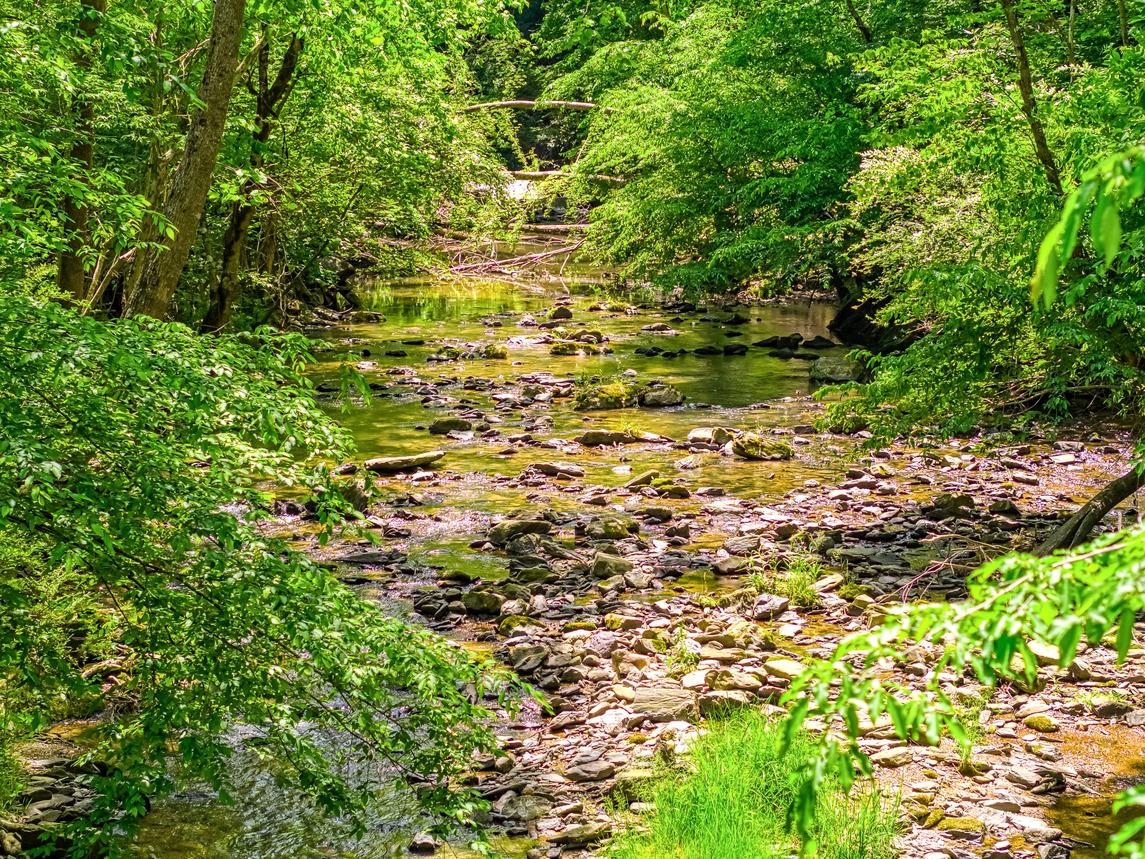 Whispering Waters - New Listing