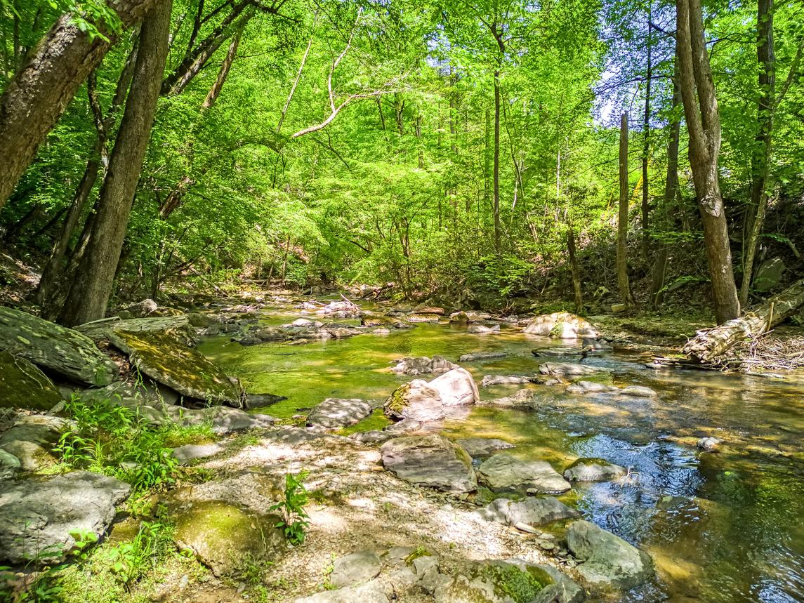 Whispering Waters - New Listing