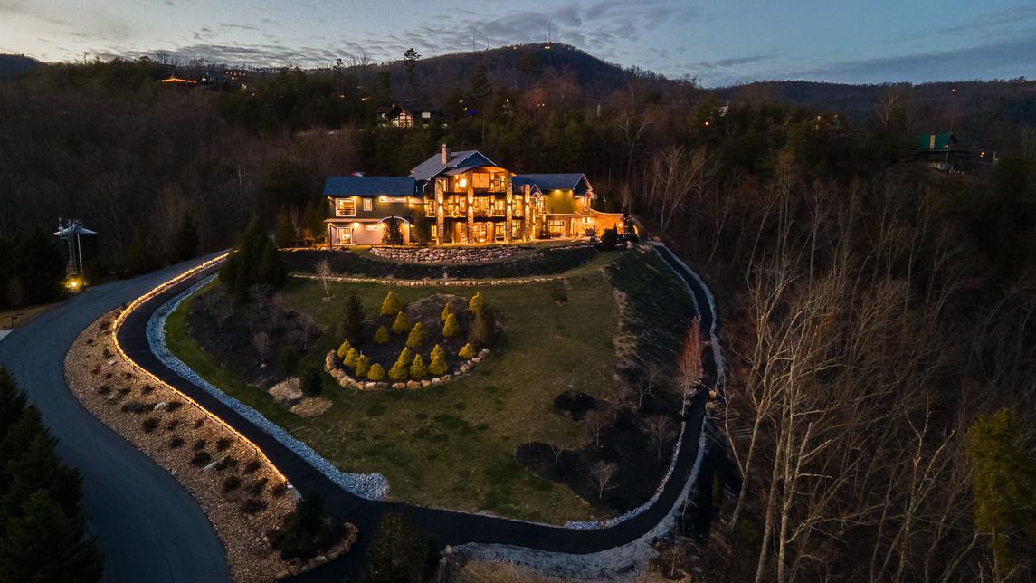 Bear Necessities - New Listing