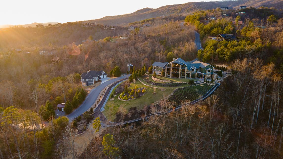 Bear Necessities - New Listing