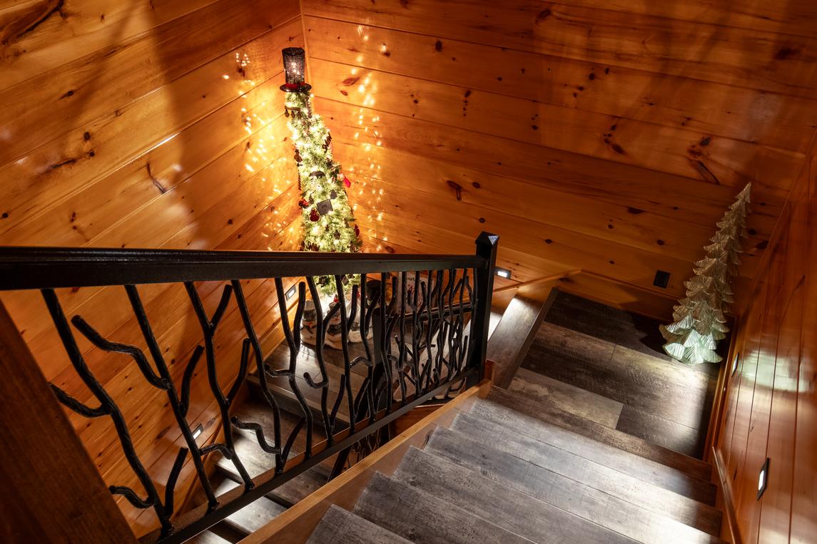 Bear Necessities - New Listing