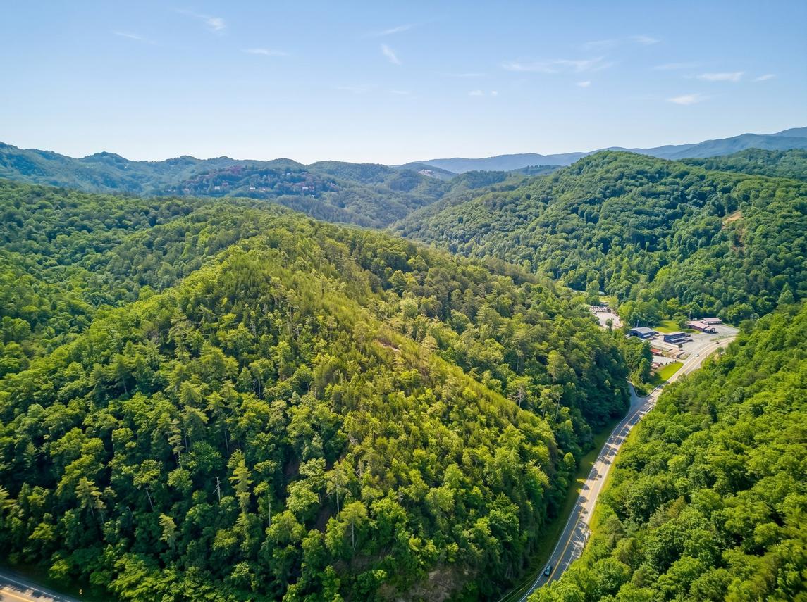 Slacker Bear's Creek Retreat New Listing