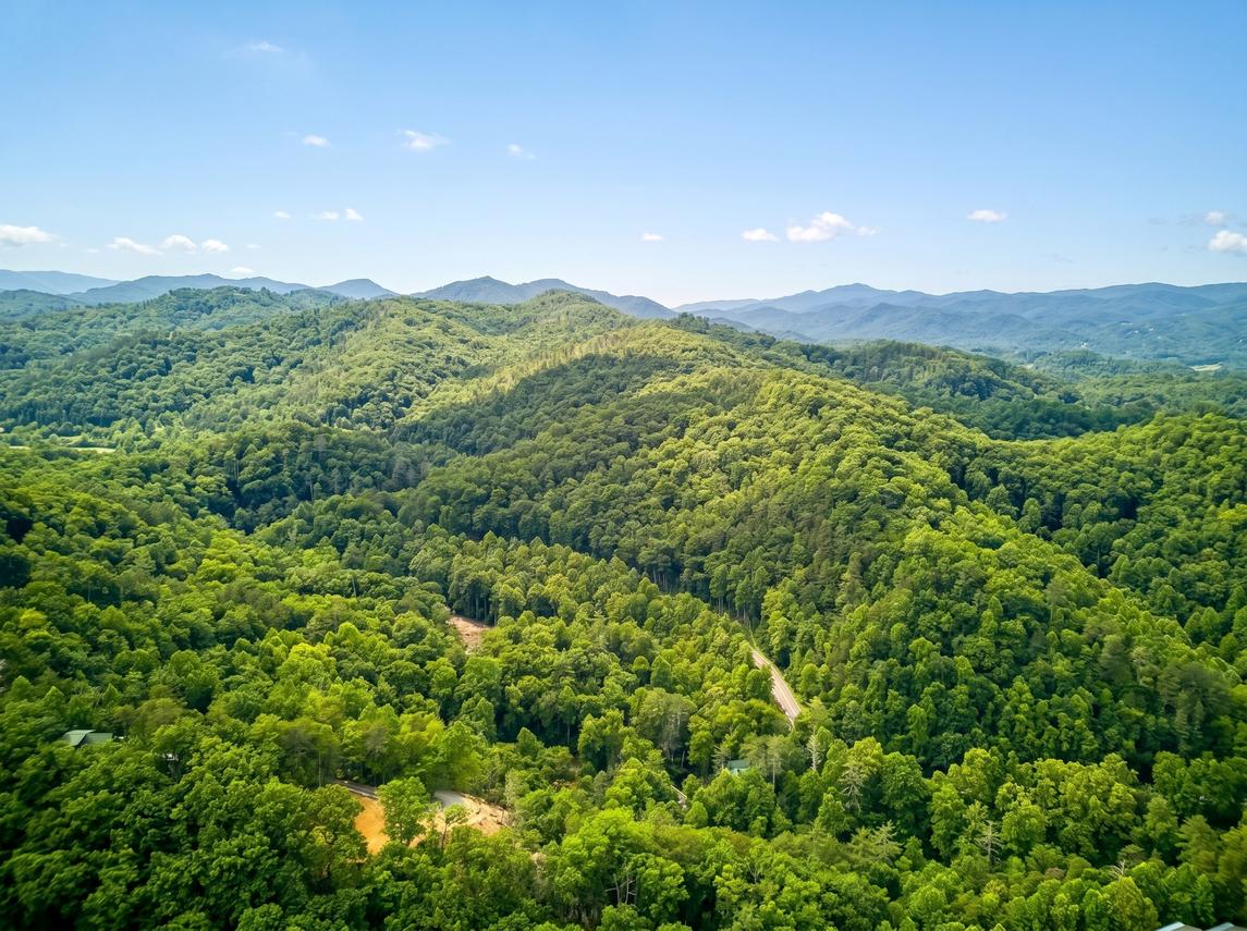 The Hawk Nest - New Listing