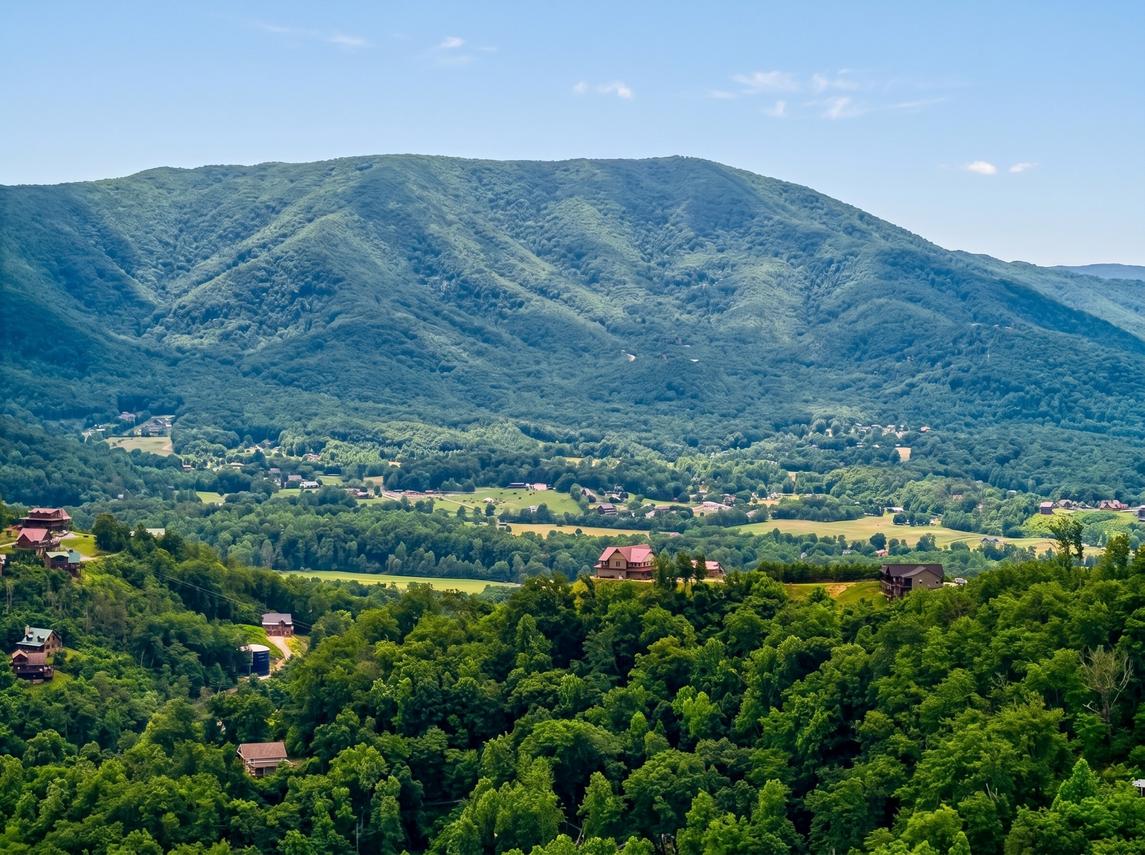 The Hawk Nest - New Listing