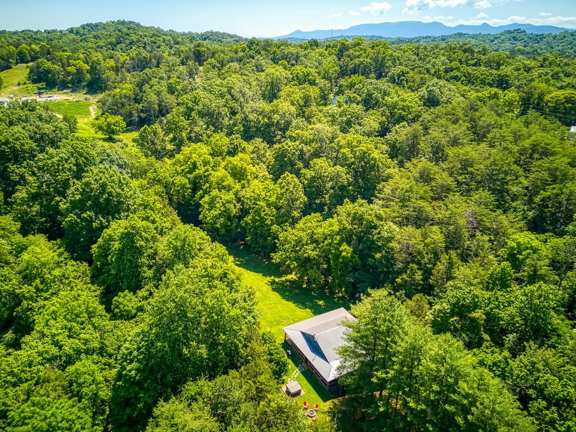 Spirit Bear Cabin 