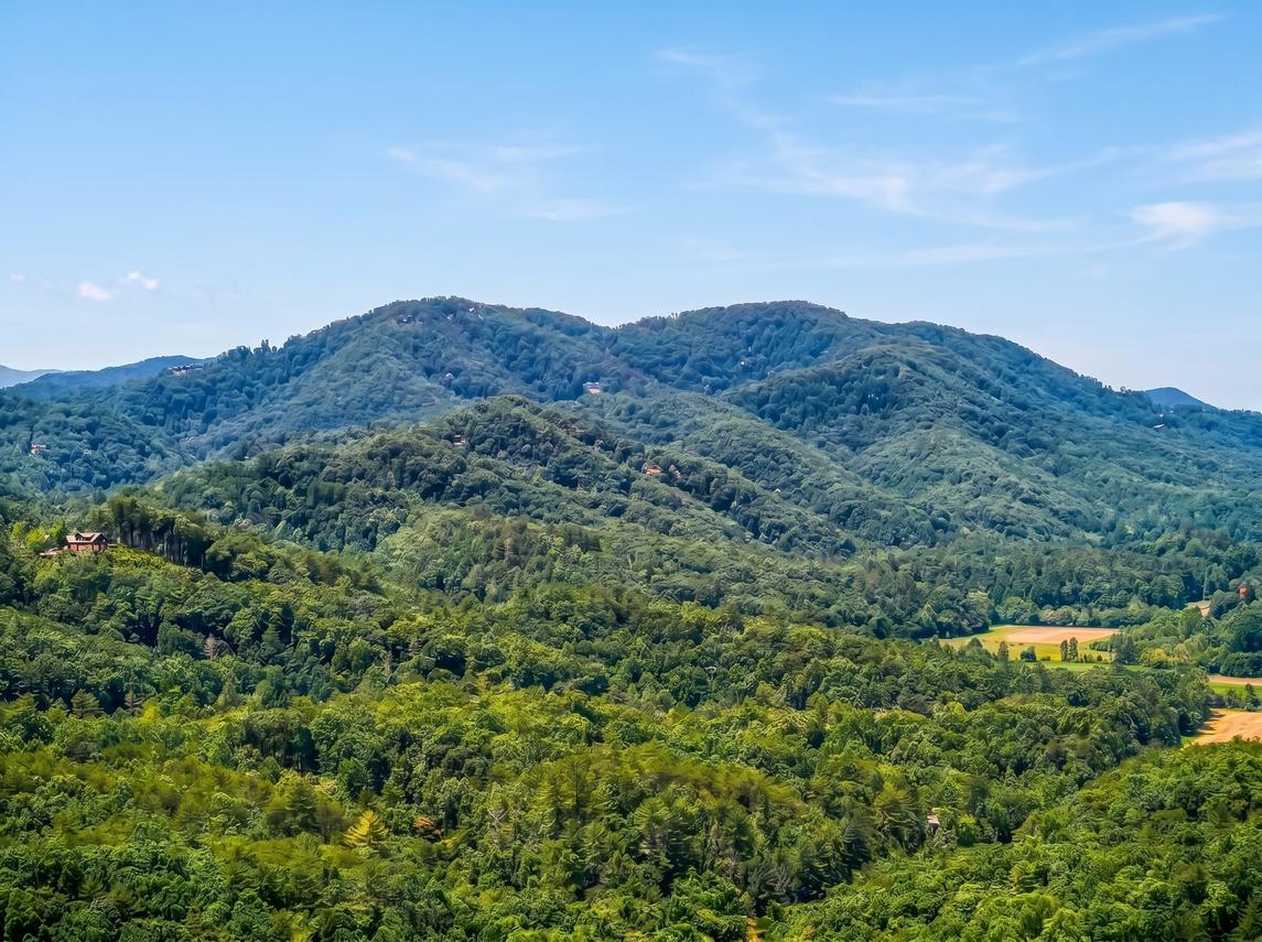 Rivers Ridge & Guest House - New Listing