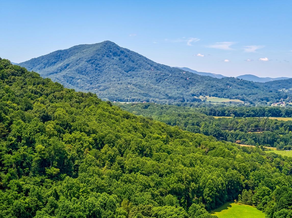 Lumberjack Lodge - New Listing