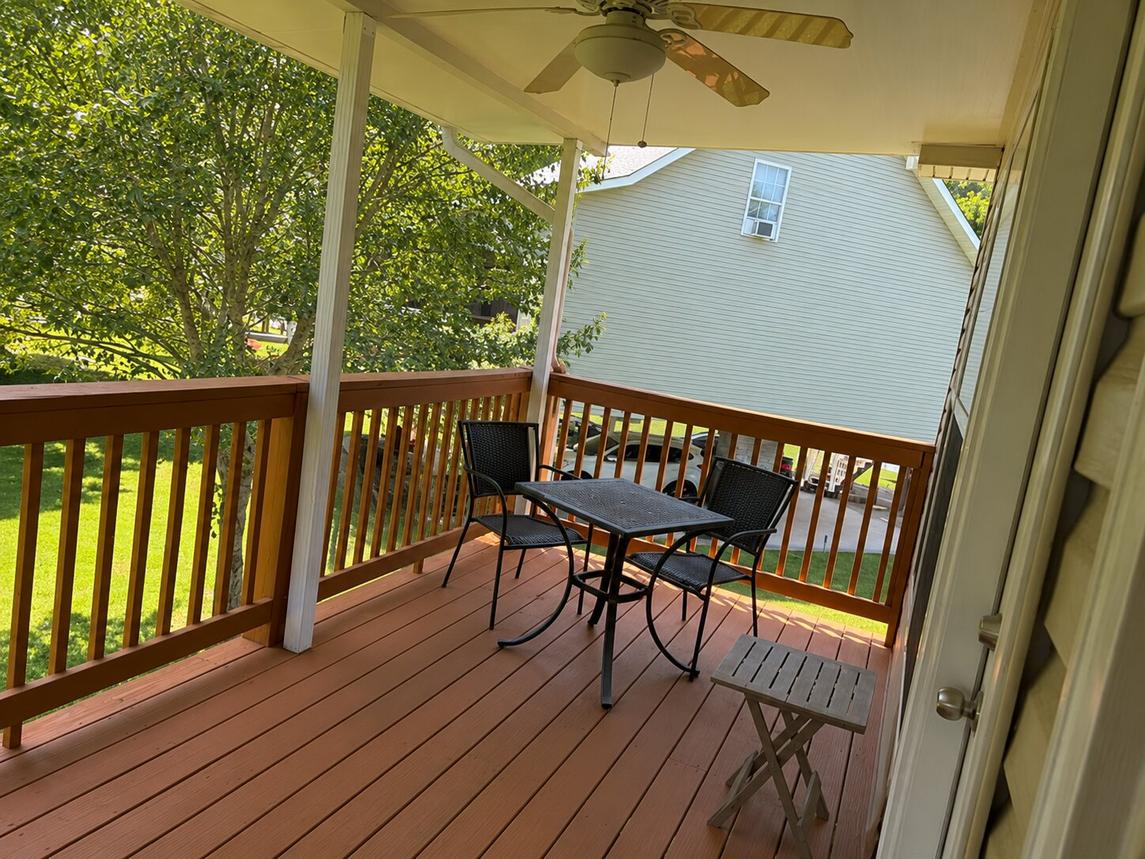 The Strawberry Bear - New Listing