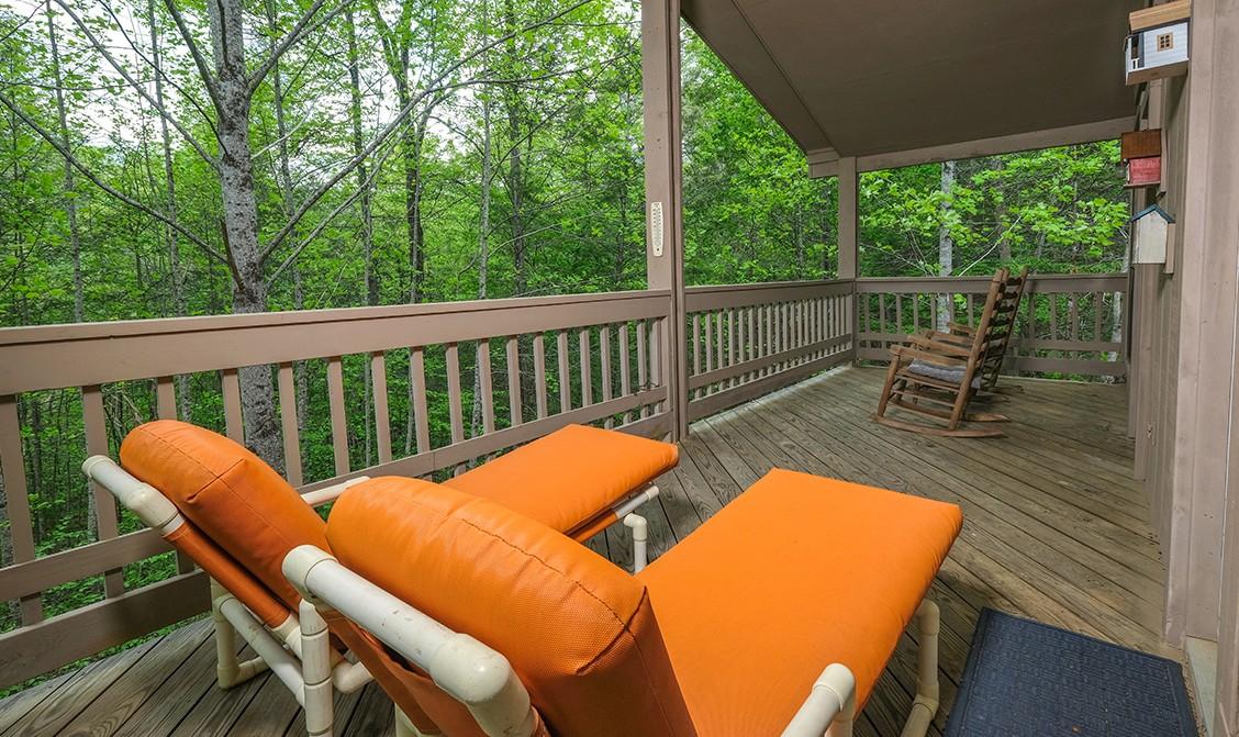 The Bird Hallar - New Listing