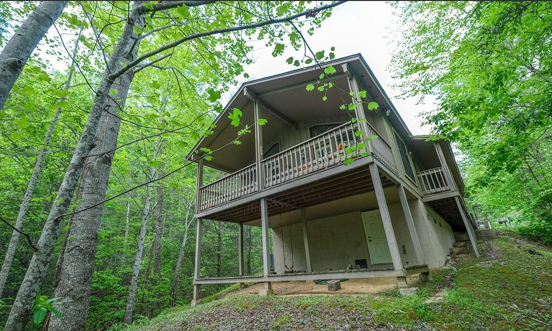 The Bird Hallar - New Listing