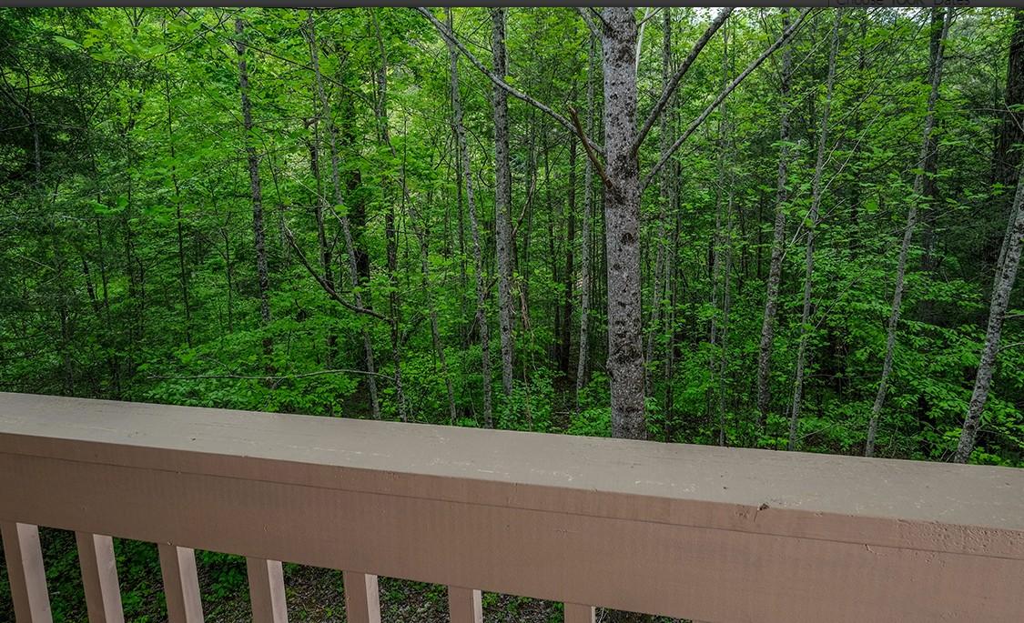 The Bird Hallar - New Listing