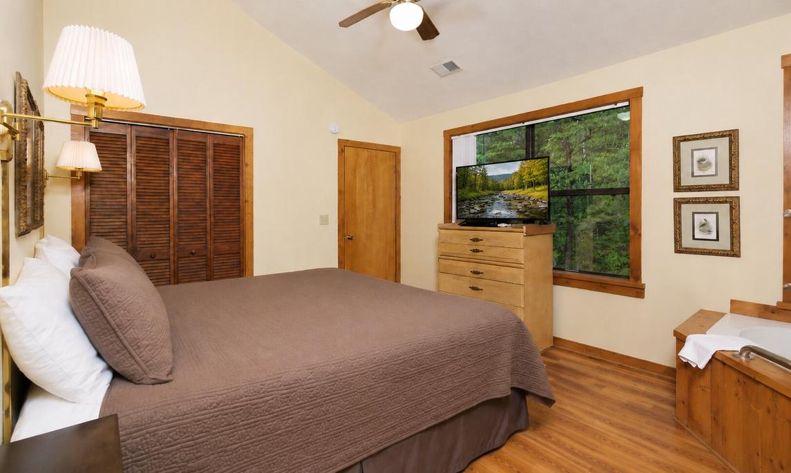 The Bird Hallar - New Listing