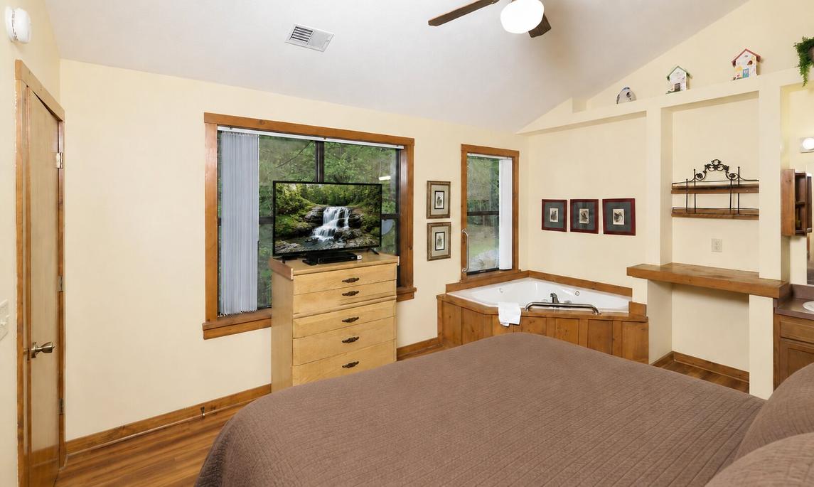 The Bird Hallar - New Listing