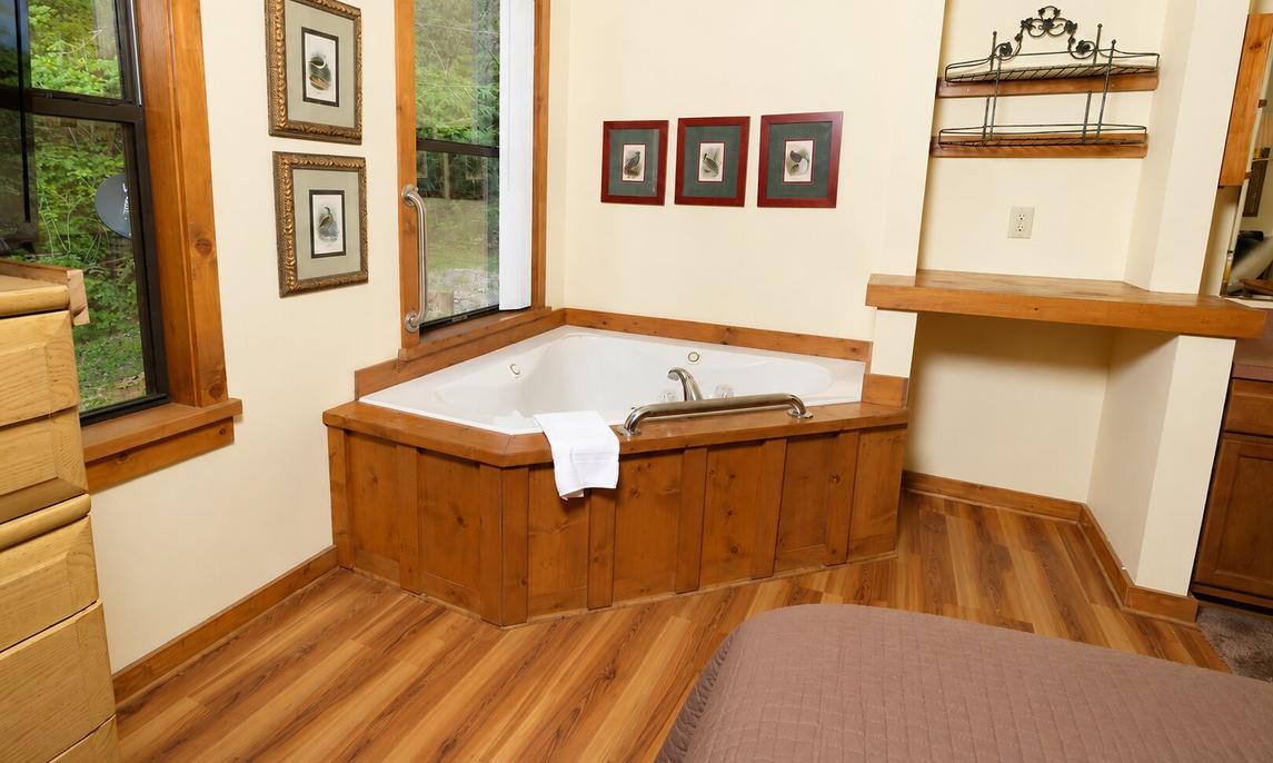 The Bird Hallar - New Listing