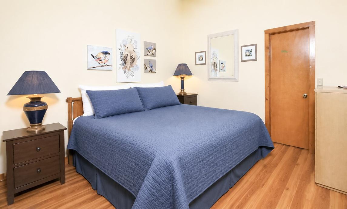 The Bird Hallar - New Listing