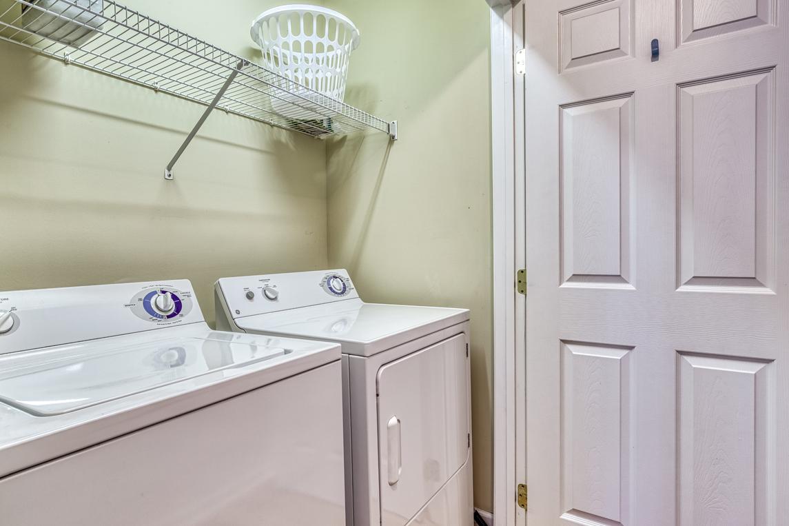 The Strawberry Bear - New Listing
