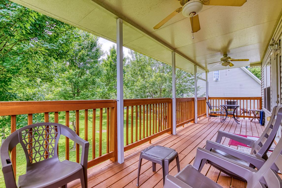 The Strawberry Bear - New Listing