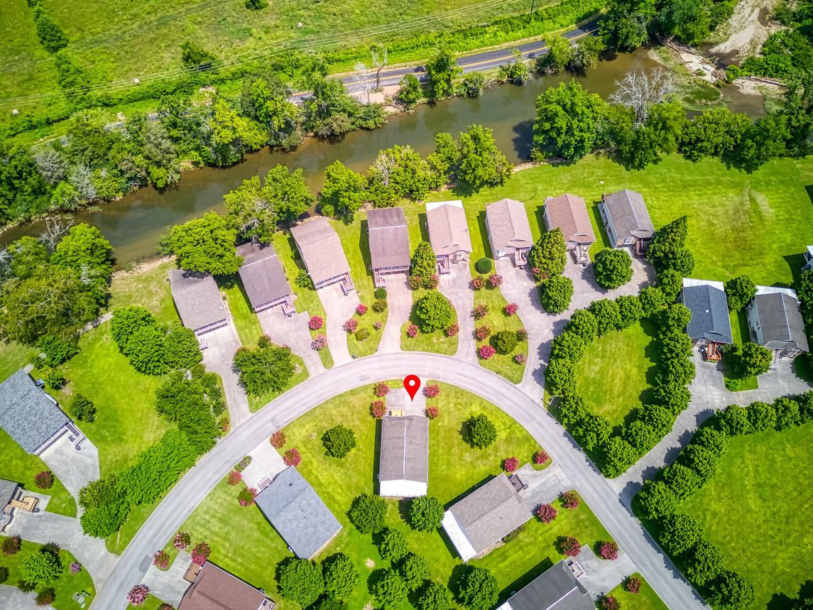 The Strawberry Bear - New Listing