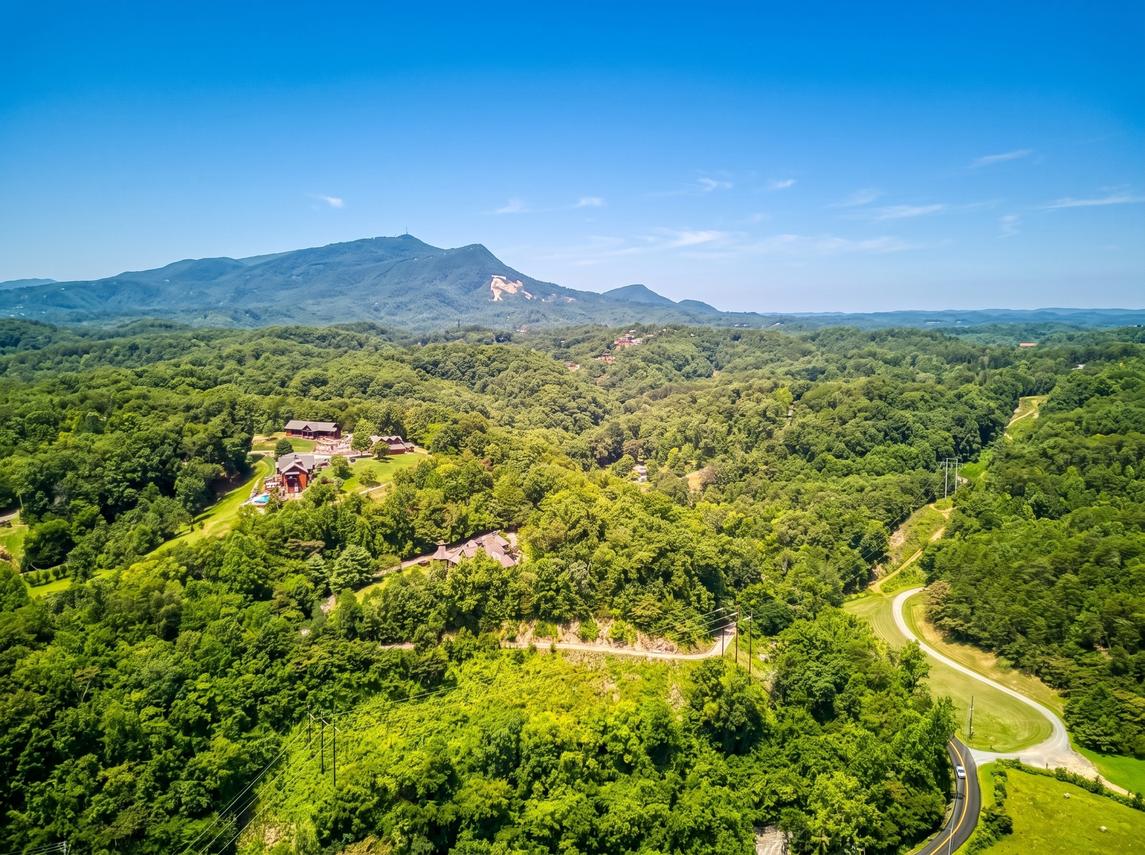 The Strawberry Bear - New Listing