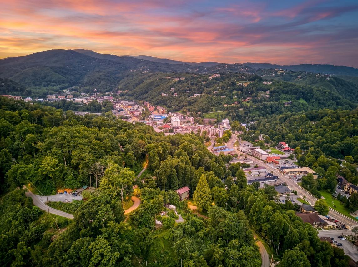 Bear Cub Retreat - In Gatlinburg