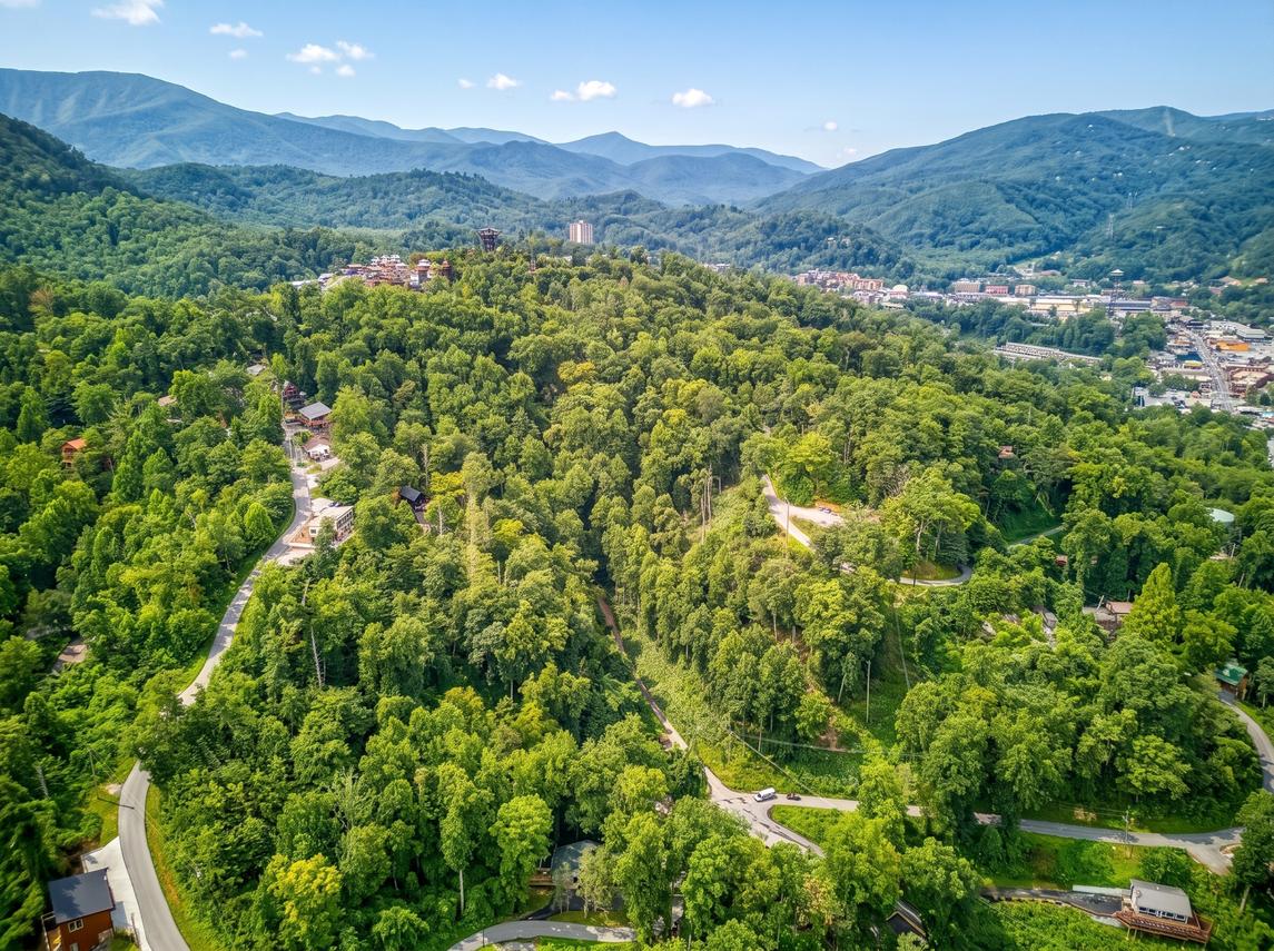 Bear Cub Retreat - In Gatlinburg