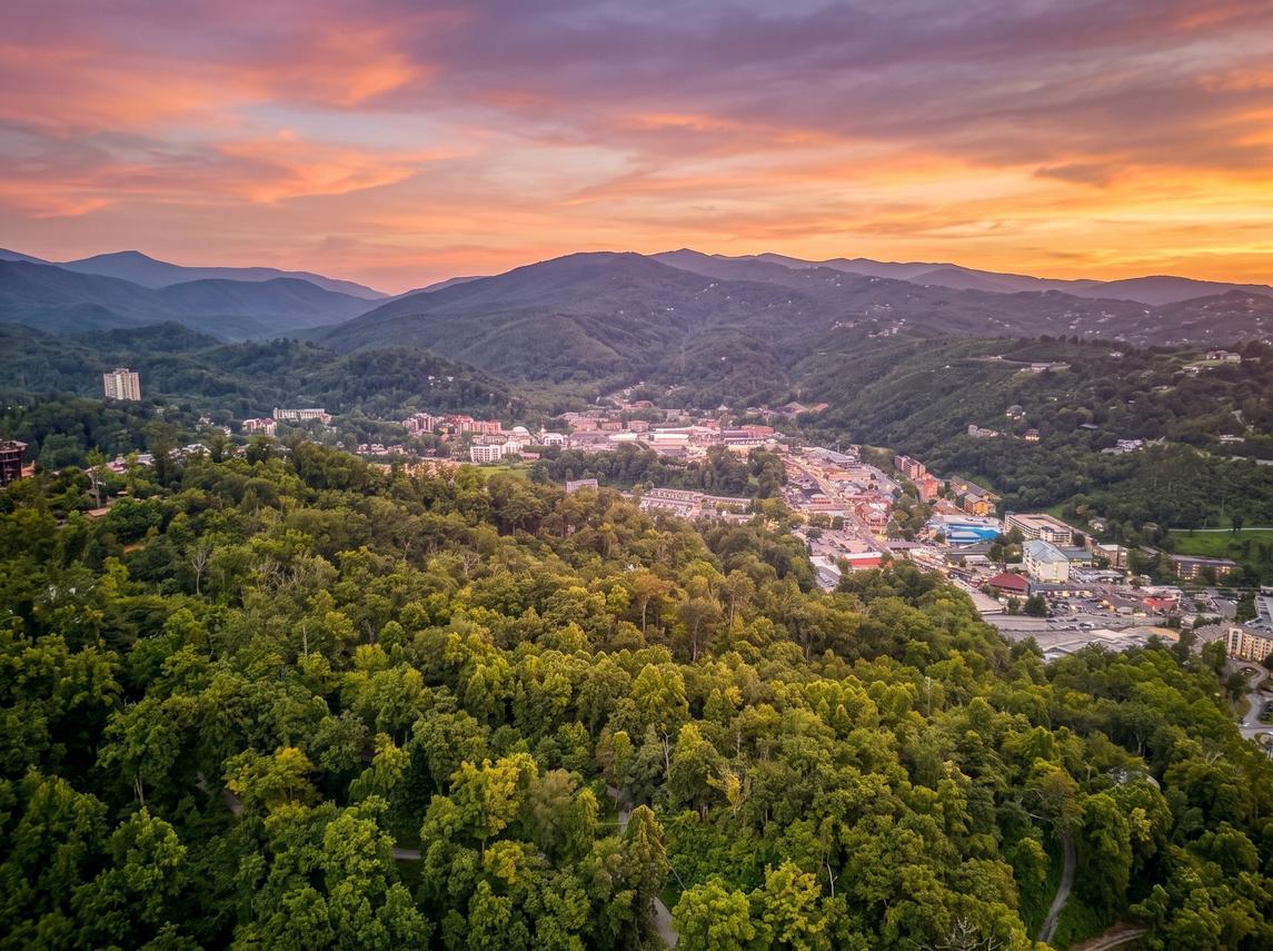 Bear Cub Retreat - In Gatlinburg