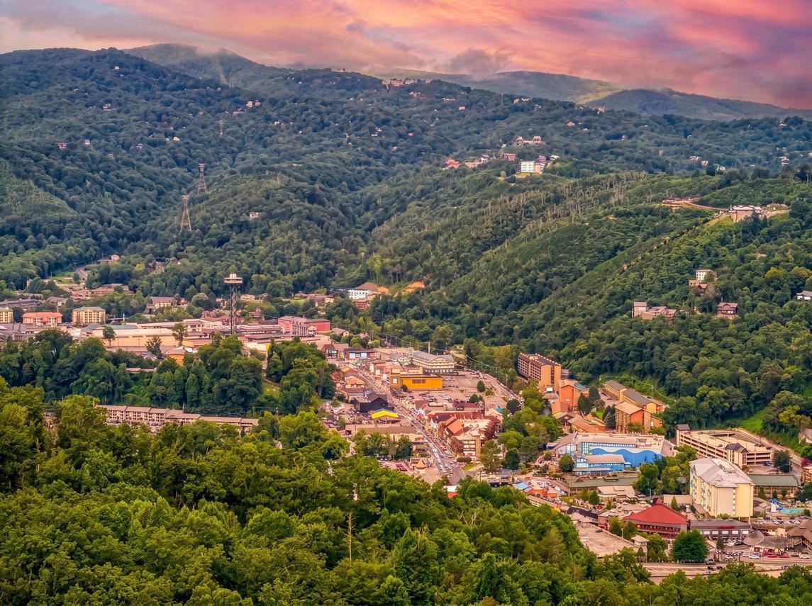 Bear Cub Retreat - In Gatlinburg