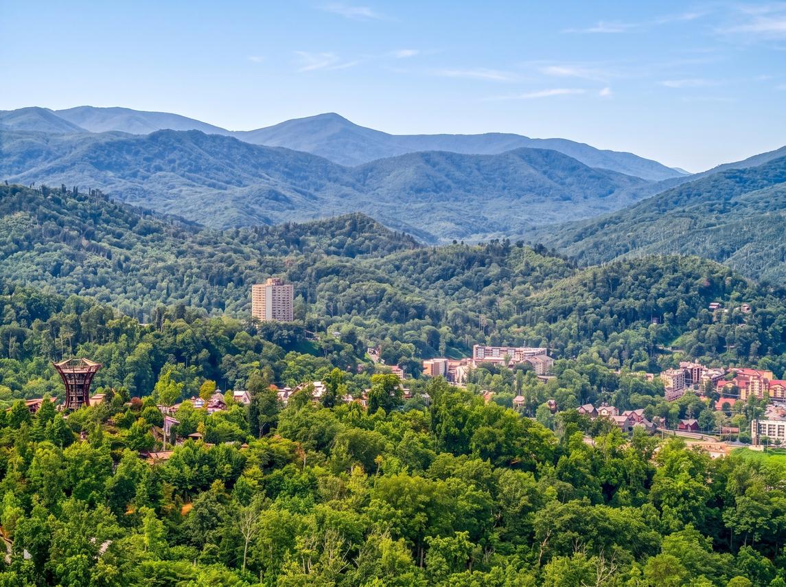 Bear Cub Retreat - In Gatlinburg