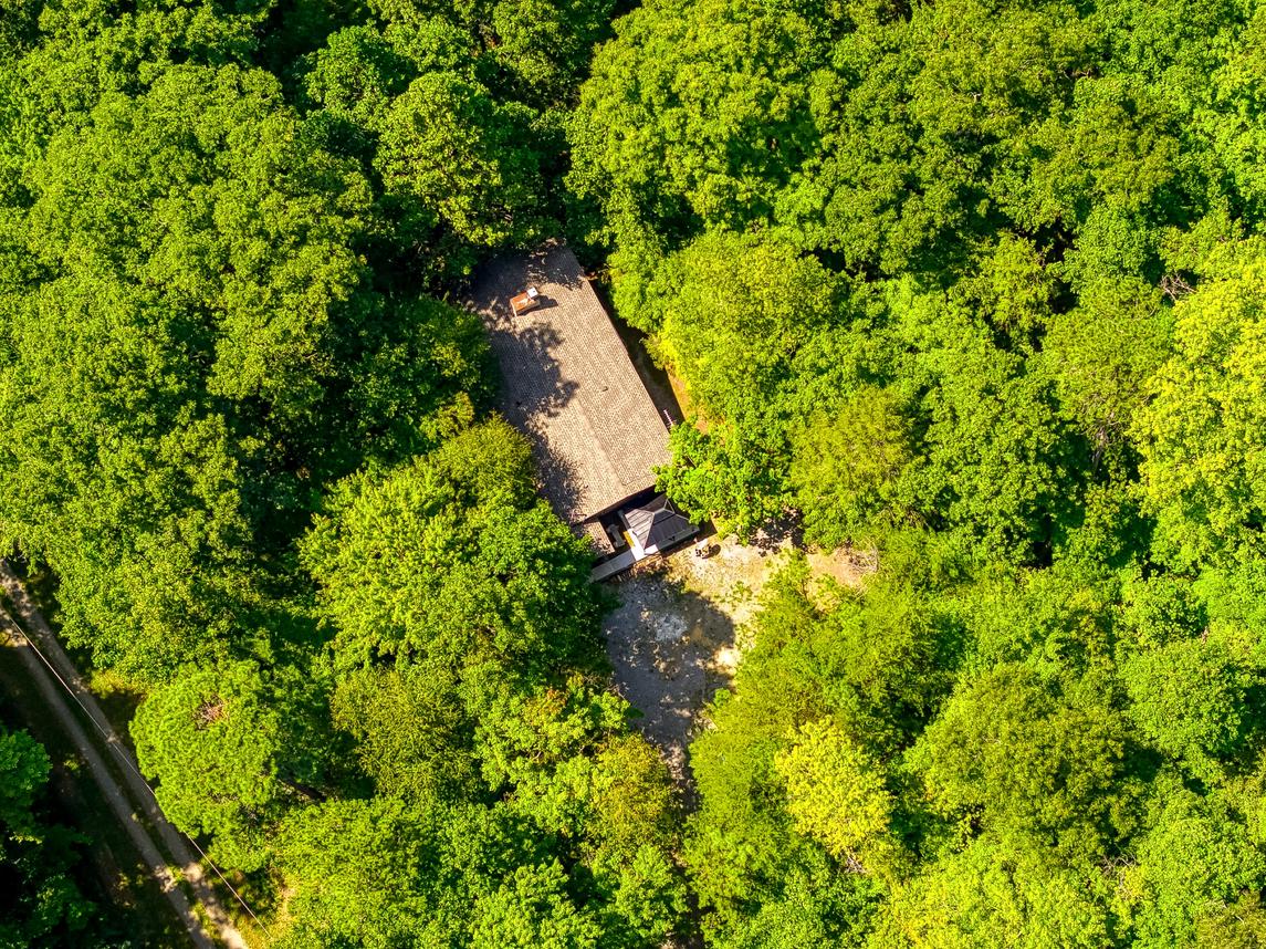 The Bird Hallar - New Listing