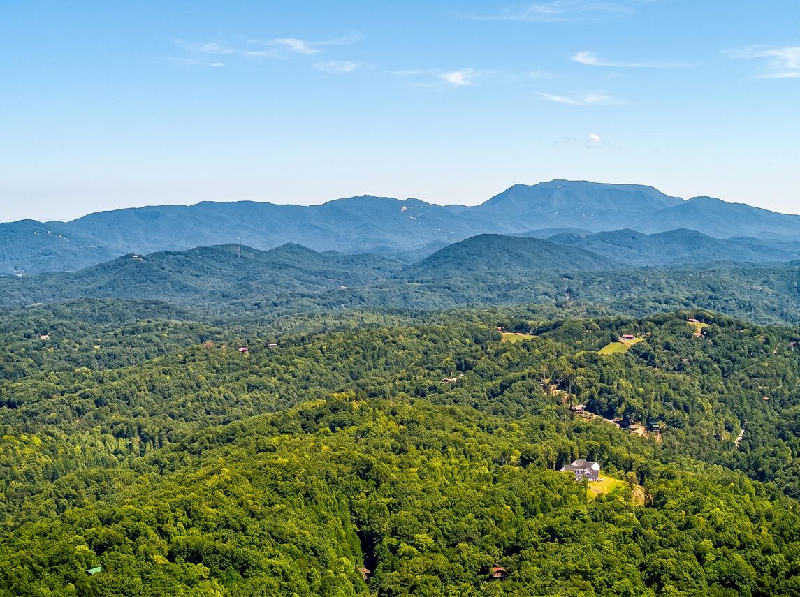 The Bird Hallar - New Listing