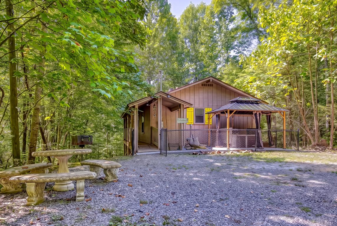 The Bird Hallar - New Listing