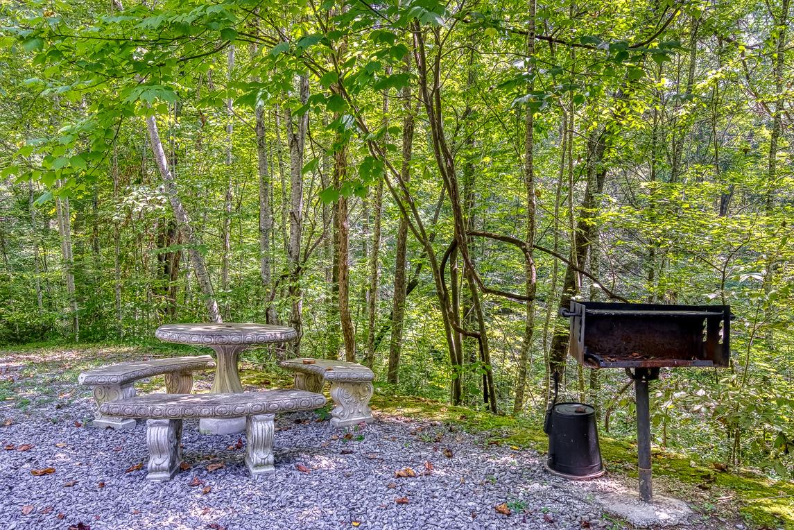 The Bird Hallar - New Listing