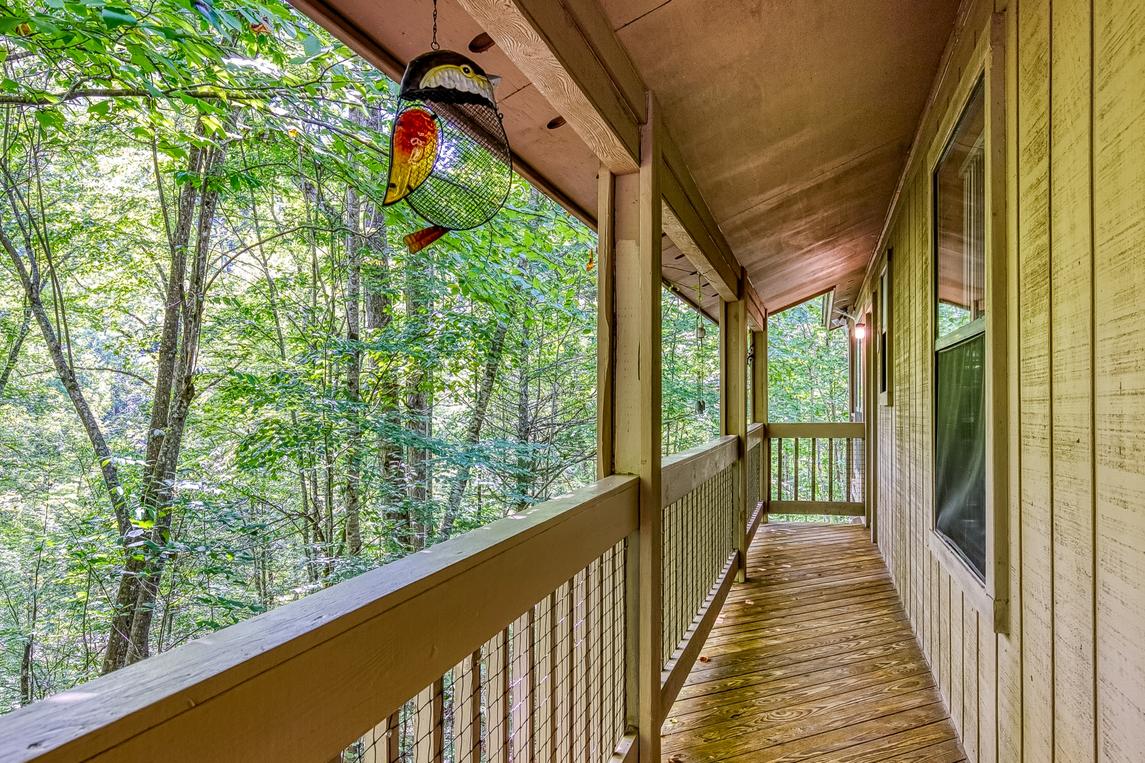 The Bird Hallar - New Listing