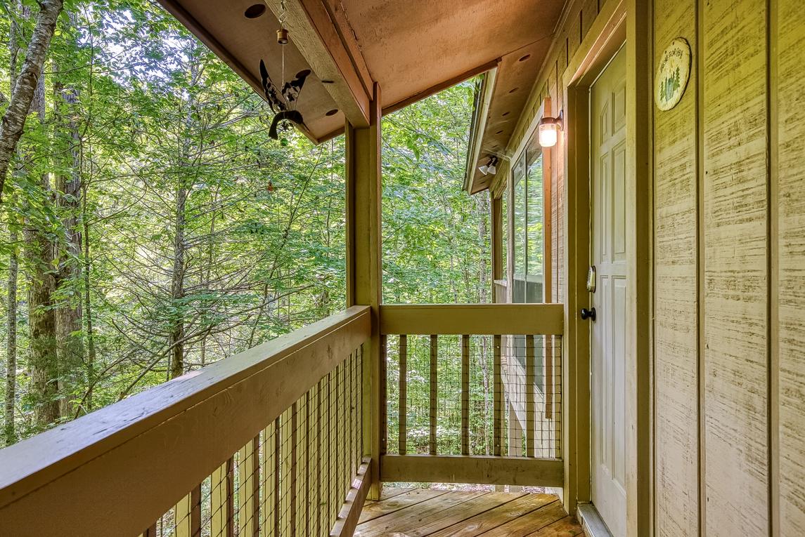 The Bird Hallar - New Listing