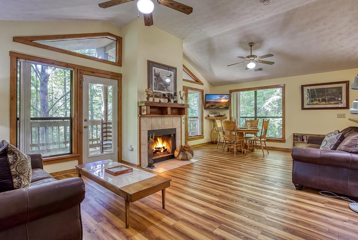 The Bird Hallar - New Listing