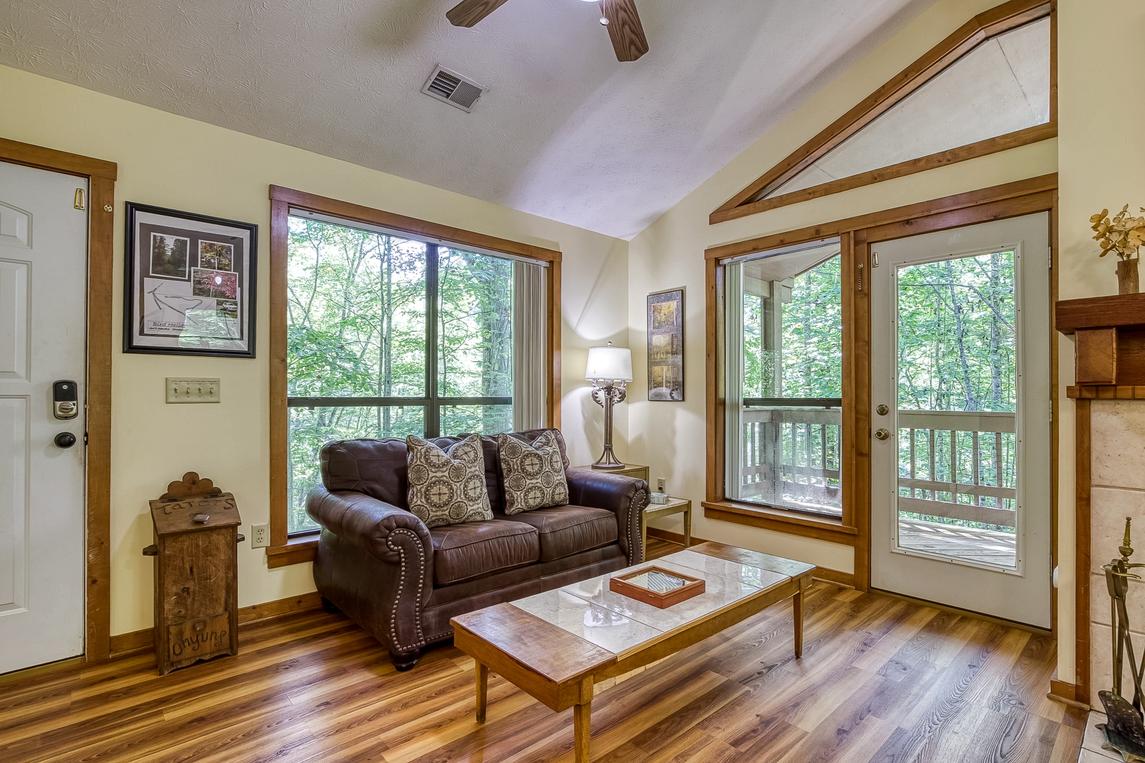 The Bird Hallar - New Listing