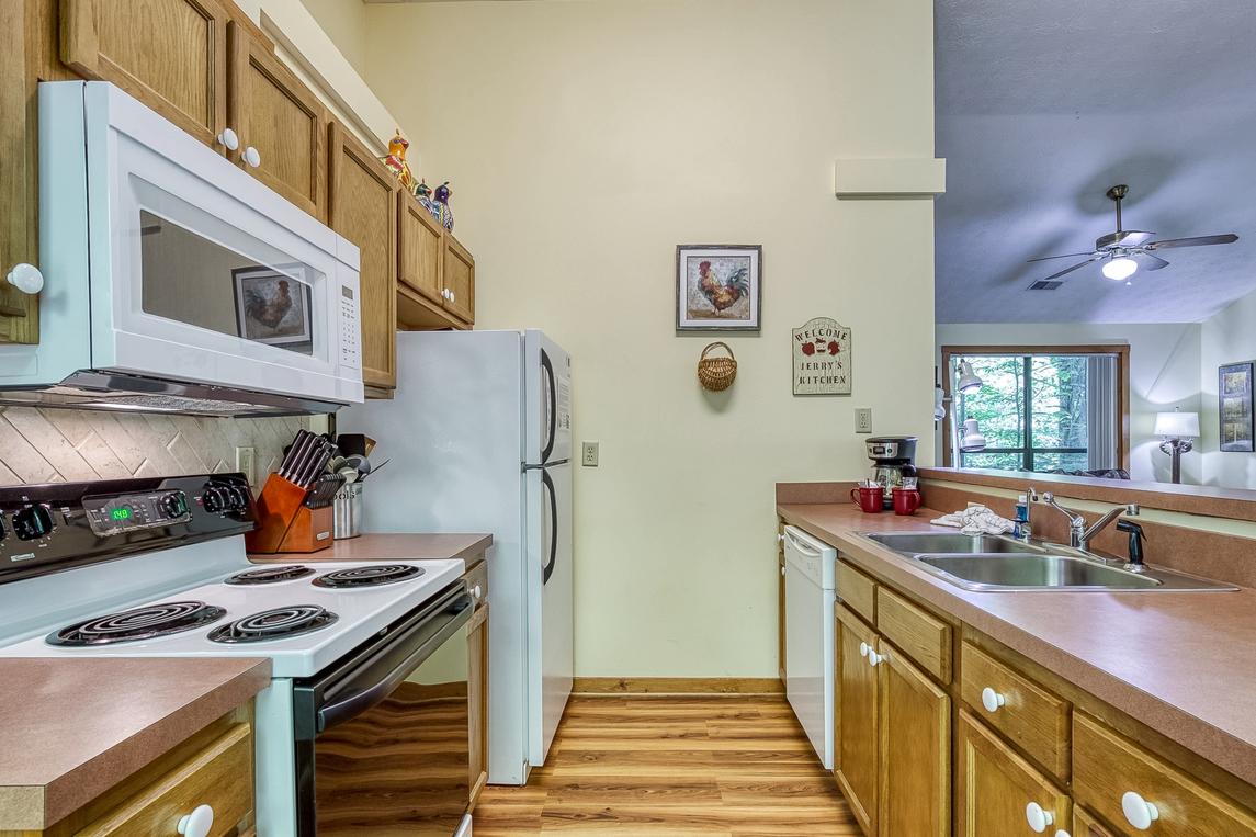 The Bird Hallar - New Listing
