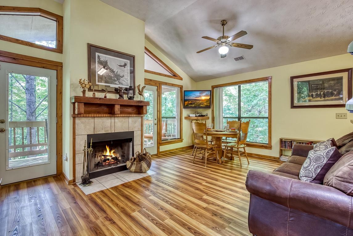 The Bird Hallar - New Listing