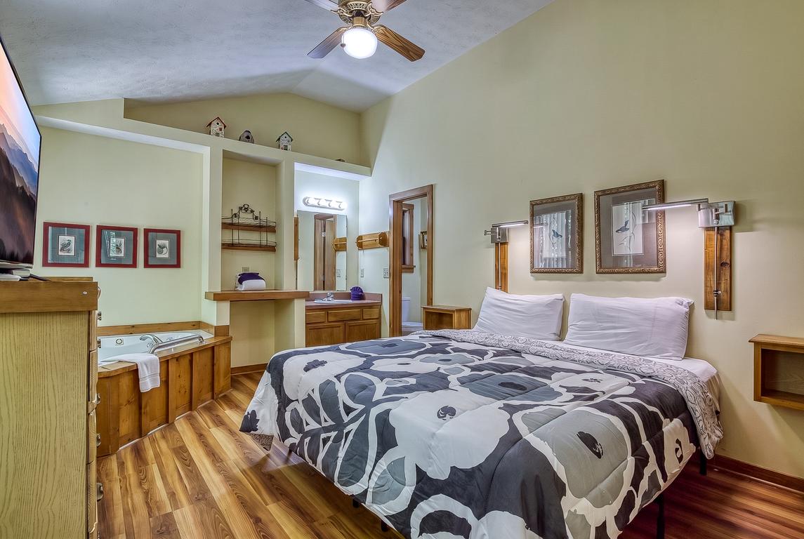 The Bird Hallar - New Listing