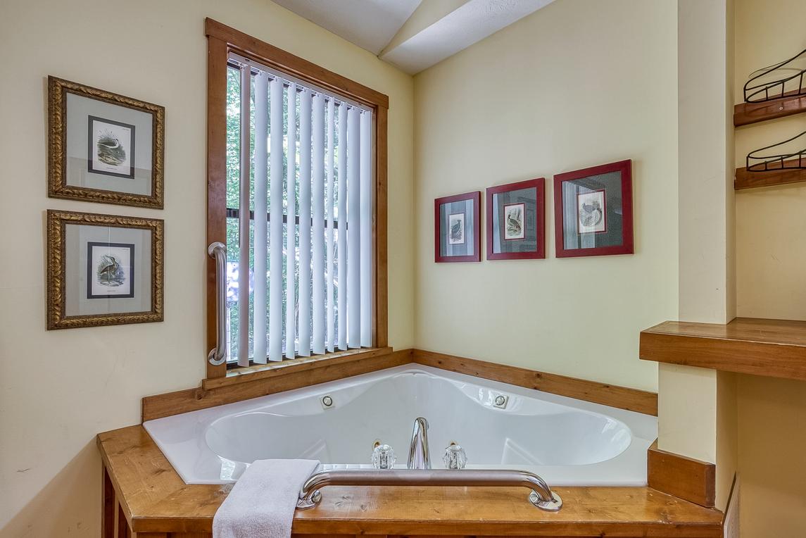 The Bird Hallar - New Listing