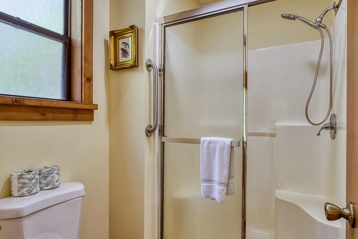 The Bird Hallar - New Listing