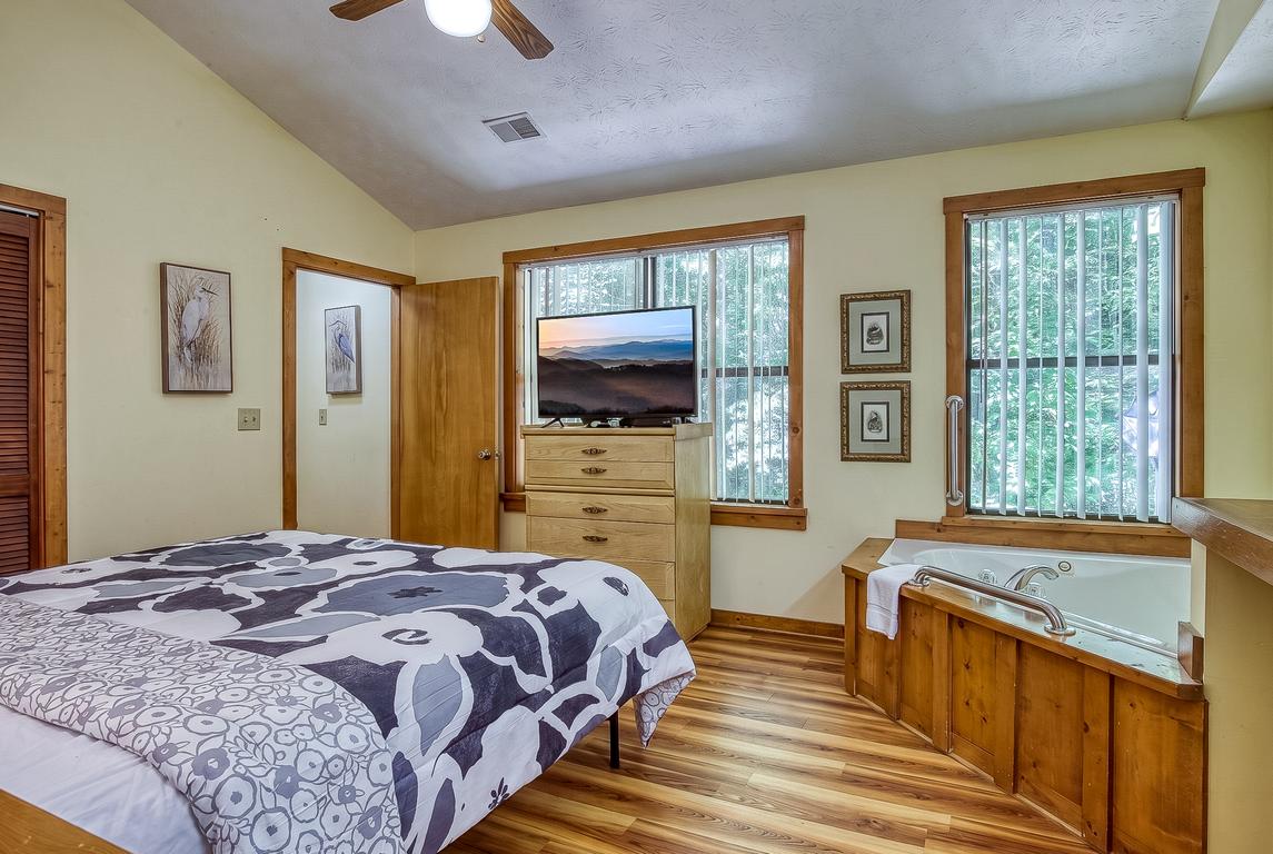 The Bird Hallar - New Listing