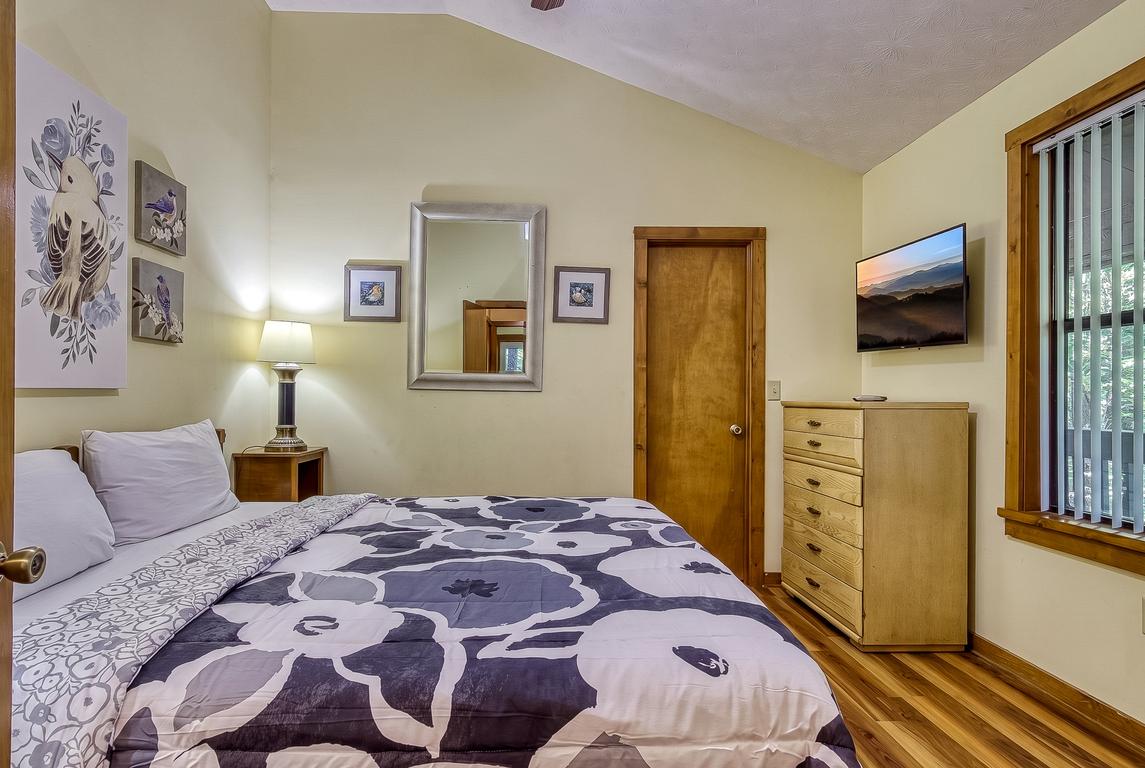 The Bird Hallar - New Listing