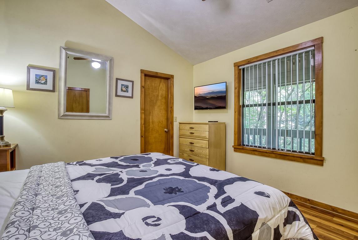The Bird Hallar - New Listing