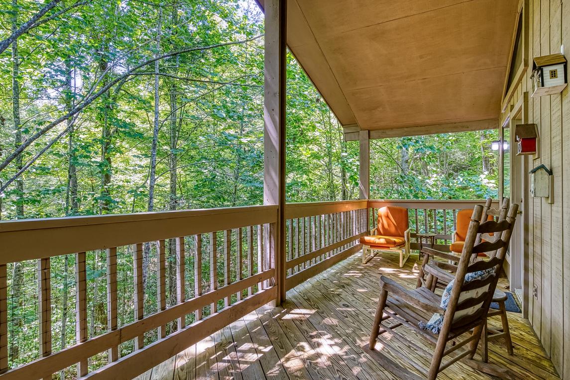 The Bird Hallar - New Listing