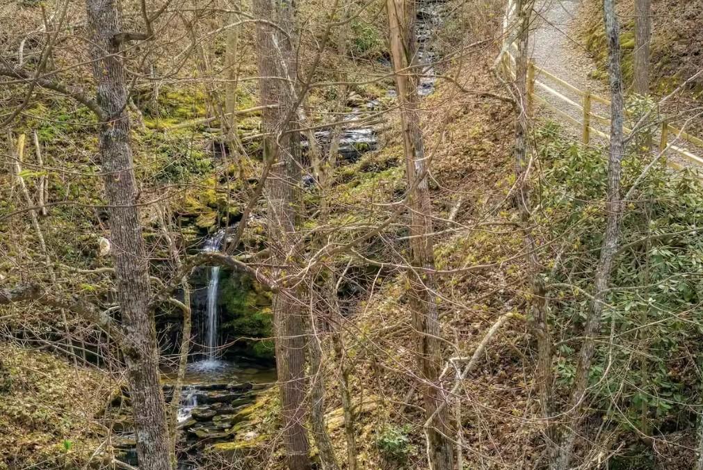 Whiskey Splash Cabin - New listing